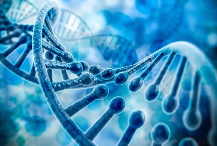 Test DNA