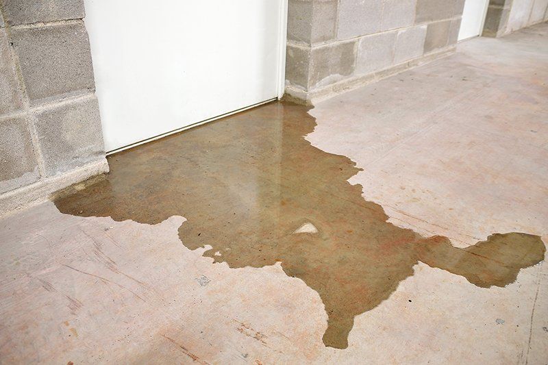 Water Leaks on the Floor — Brunswick, GA — Rooter Express Plumbing & Drain Water Leaks on the Floor — Brunswick, GA — Rooter Express Plumbing & Drain