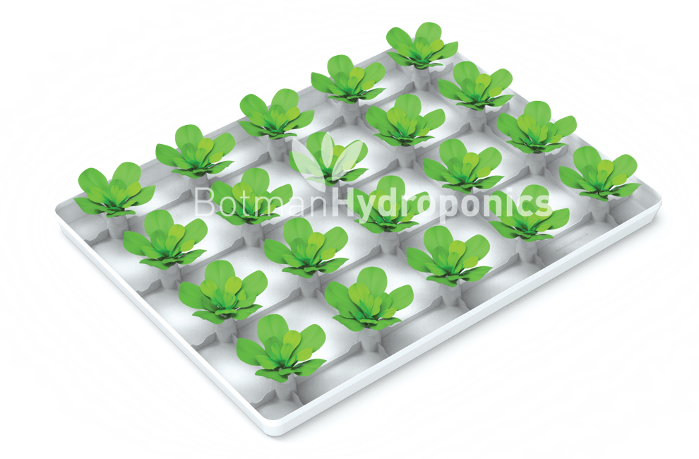 Botman Hydroponics Floating Raft