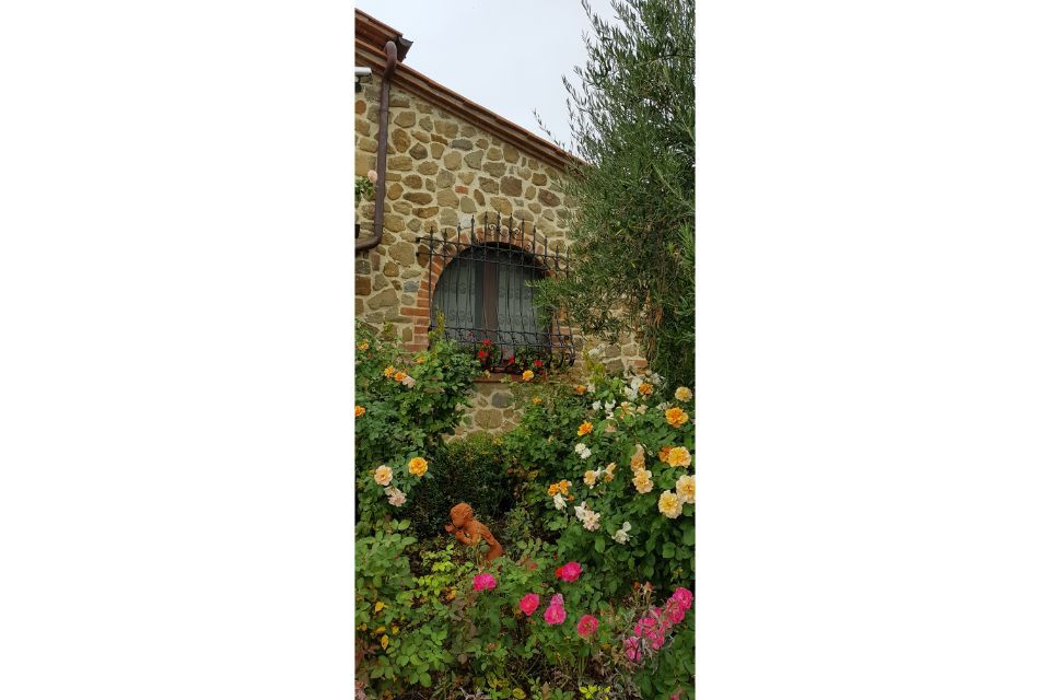 Finestra e giardino
