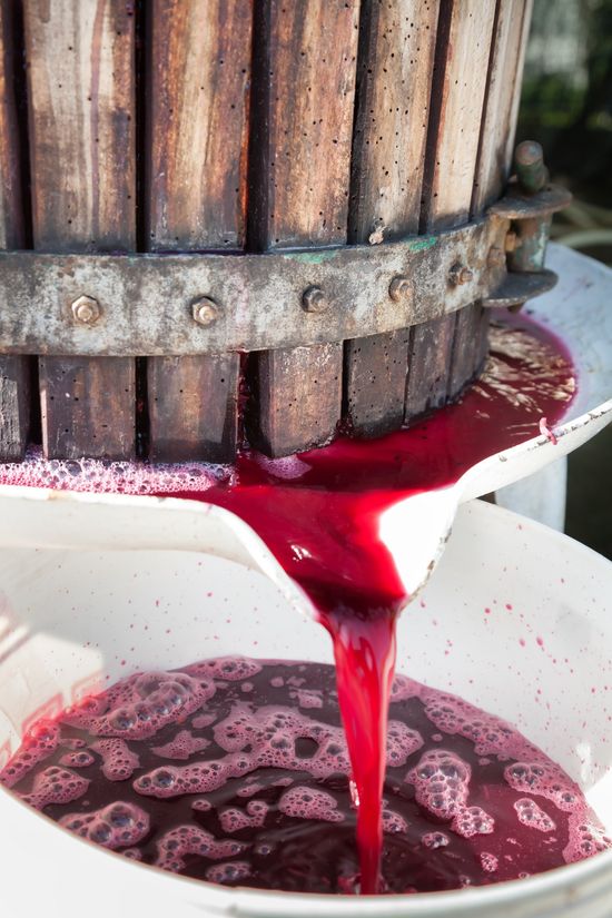 macchina per vino