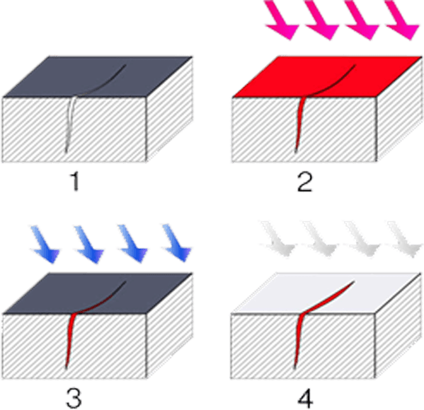image-283035-contact-content.png?1436881519246