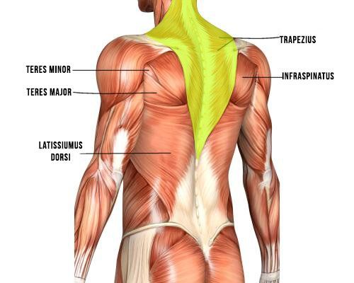 Fitness transformation Brampton