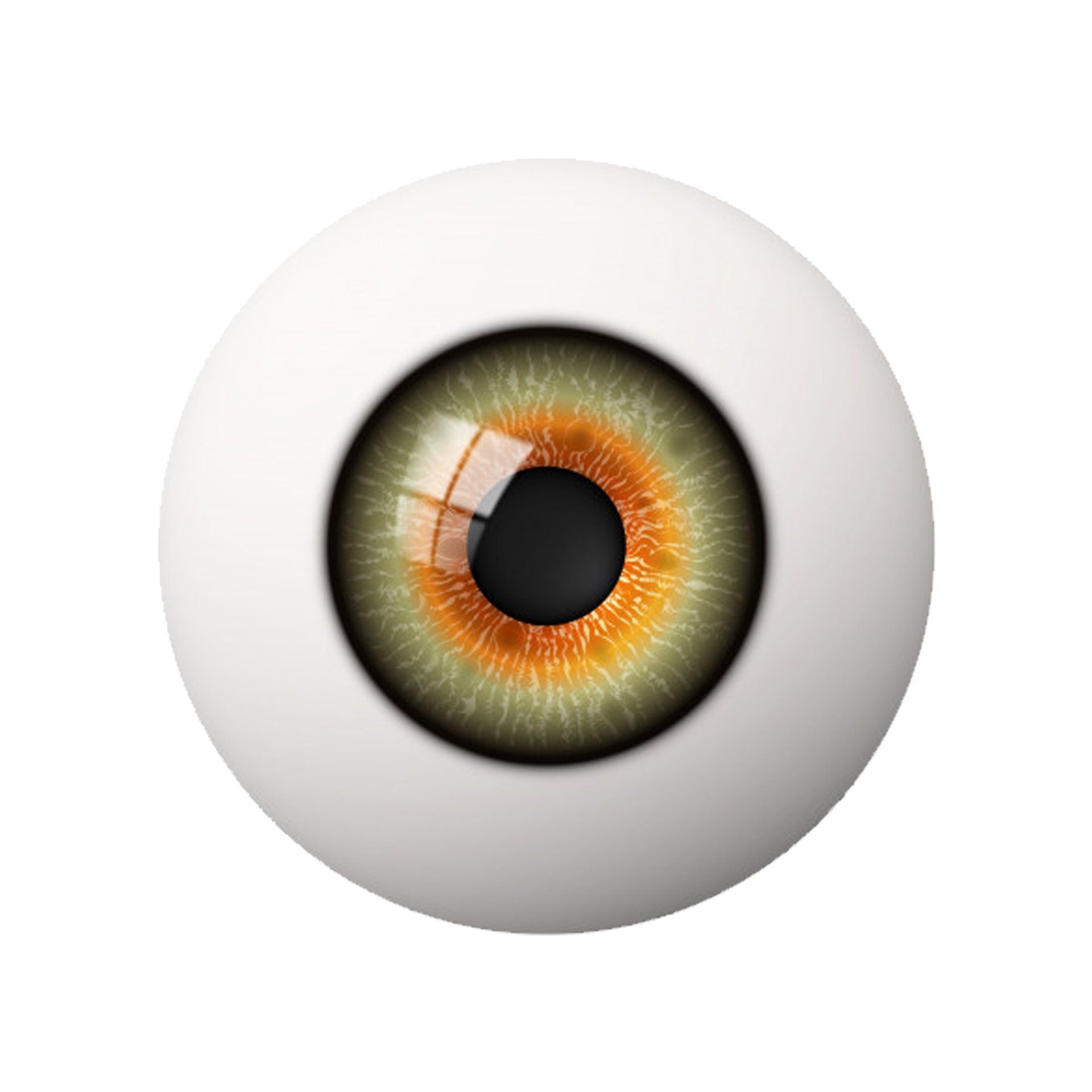 A close up of a human eye on a white background.