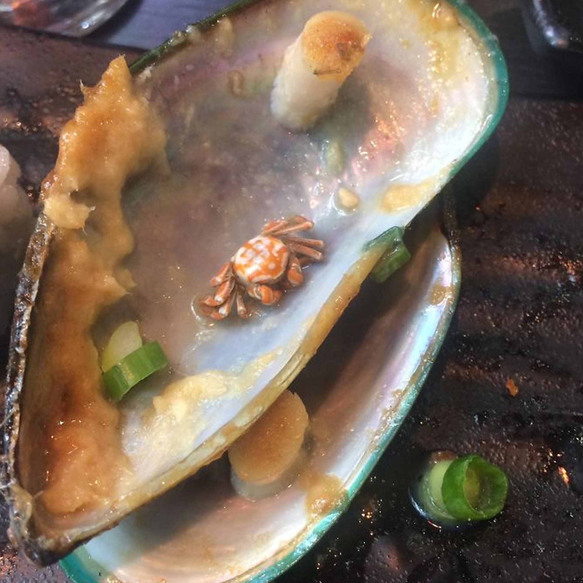 A close up of a crab in an oyster shell