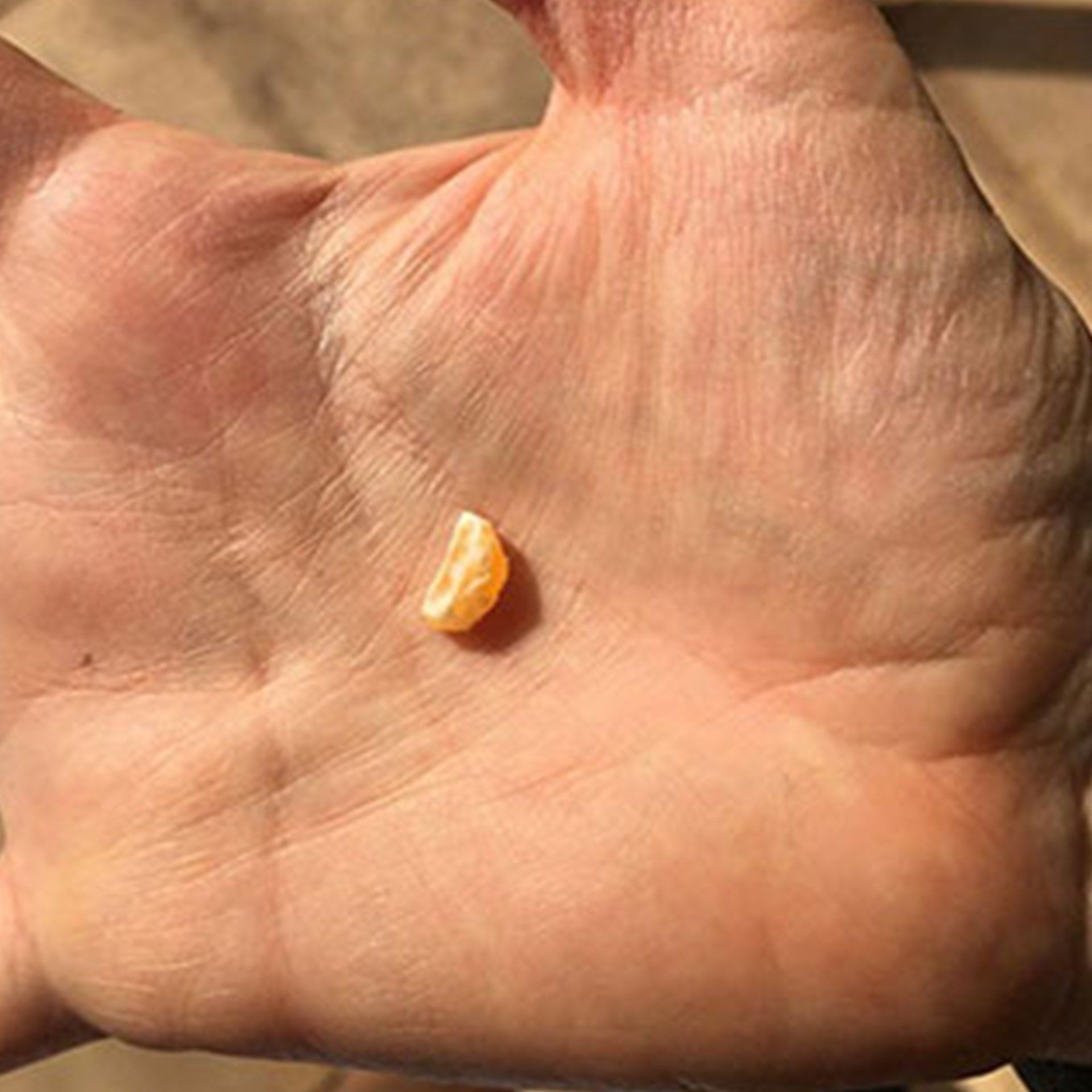 A person is holding a small piece of orange in their hand.