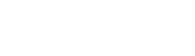 thevsf logo bottom