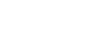 thevsf logo bottom