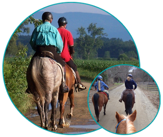 horse rider