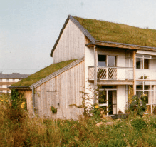 Haus mit Gründach, Holzverkleidung und Balkon, umgeben von hohem Gras.