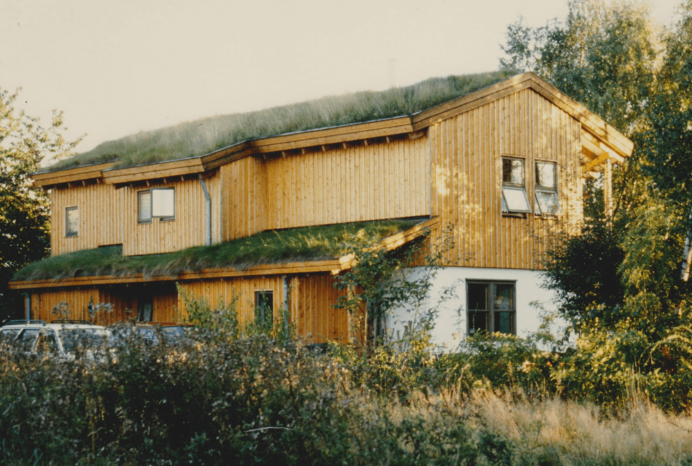 Zweistöckiges Holzhaus mit Gründach, eingebettet zwischen Bäumen und Laubwerk.