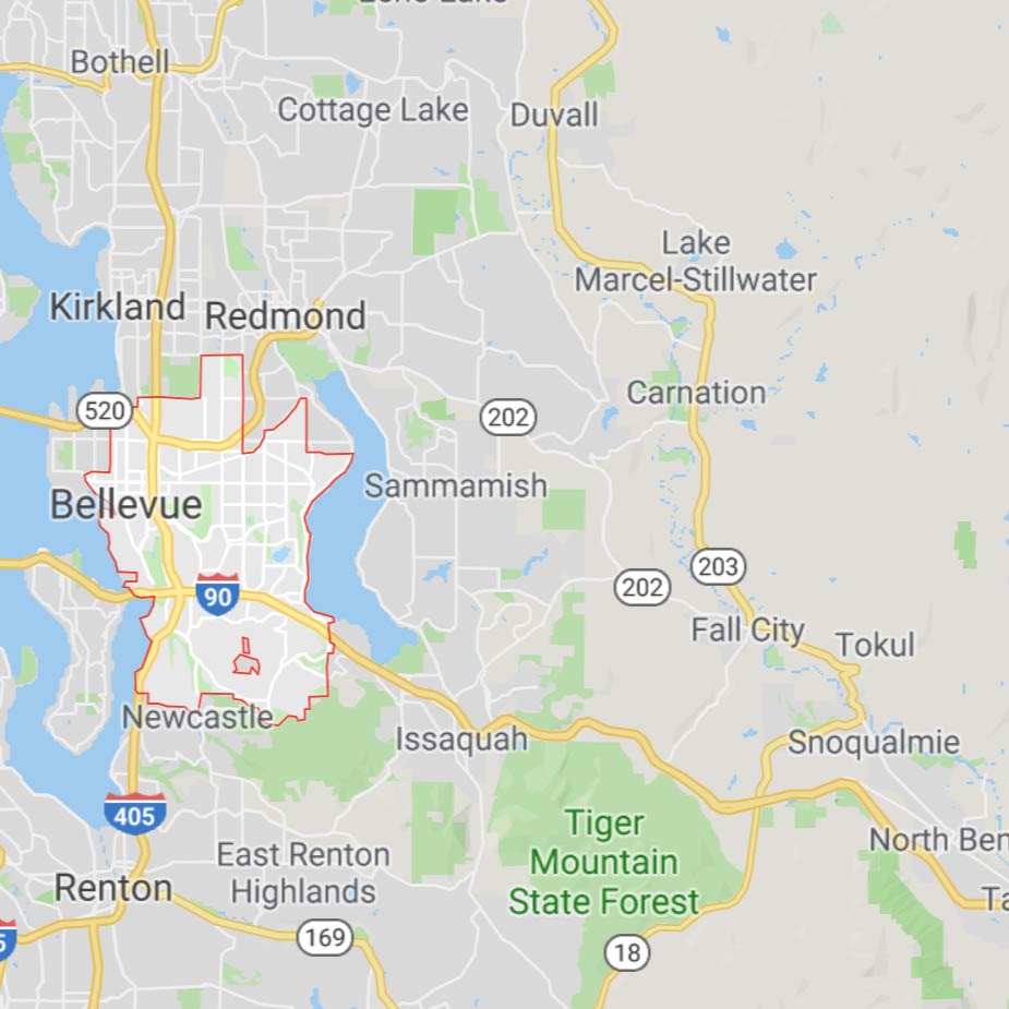We Provide Dryer Repair Service in Bellevue and Surrounding Areas