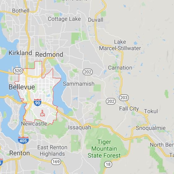 We Provide Appliance Repair Service in Bellevue and Surrounding Areas We Provide Appliance Repair Service in Bellevue and Surrounding Areas