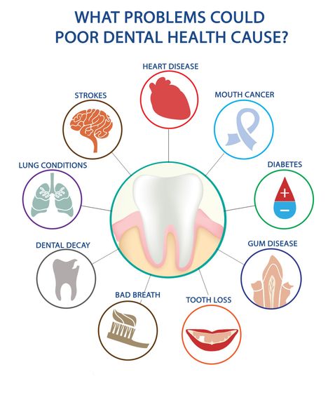 picture of tooth and toothbrush and lungs
