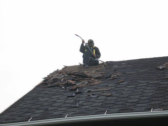 new roof installation