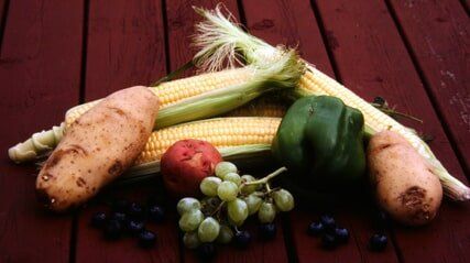 Fruits and Vegetables, Slide Transfers in Lancaster, PA