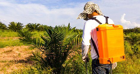 Weed-Free — Weed Prevention in Maricopa County, AZ