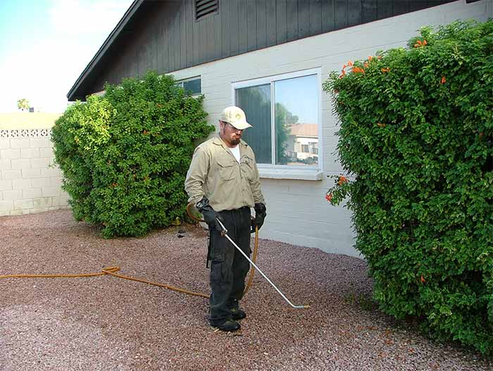 Weed Control — Weed Spray in Glendale, AZ