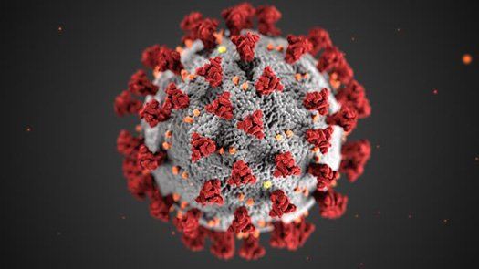 Corona Virus Cell