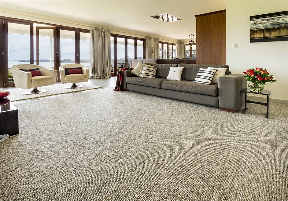 Living Room Carpet