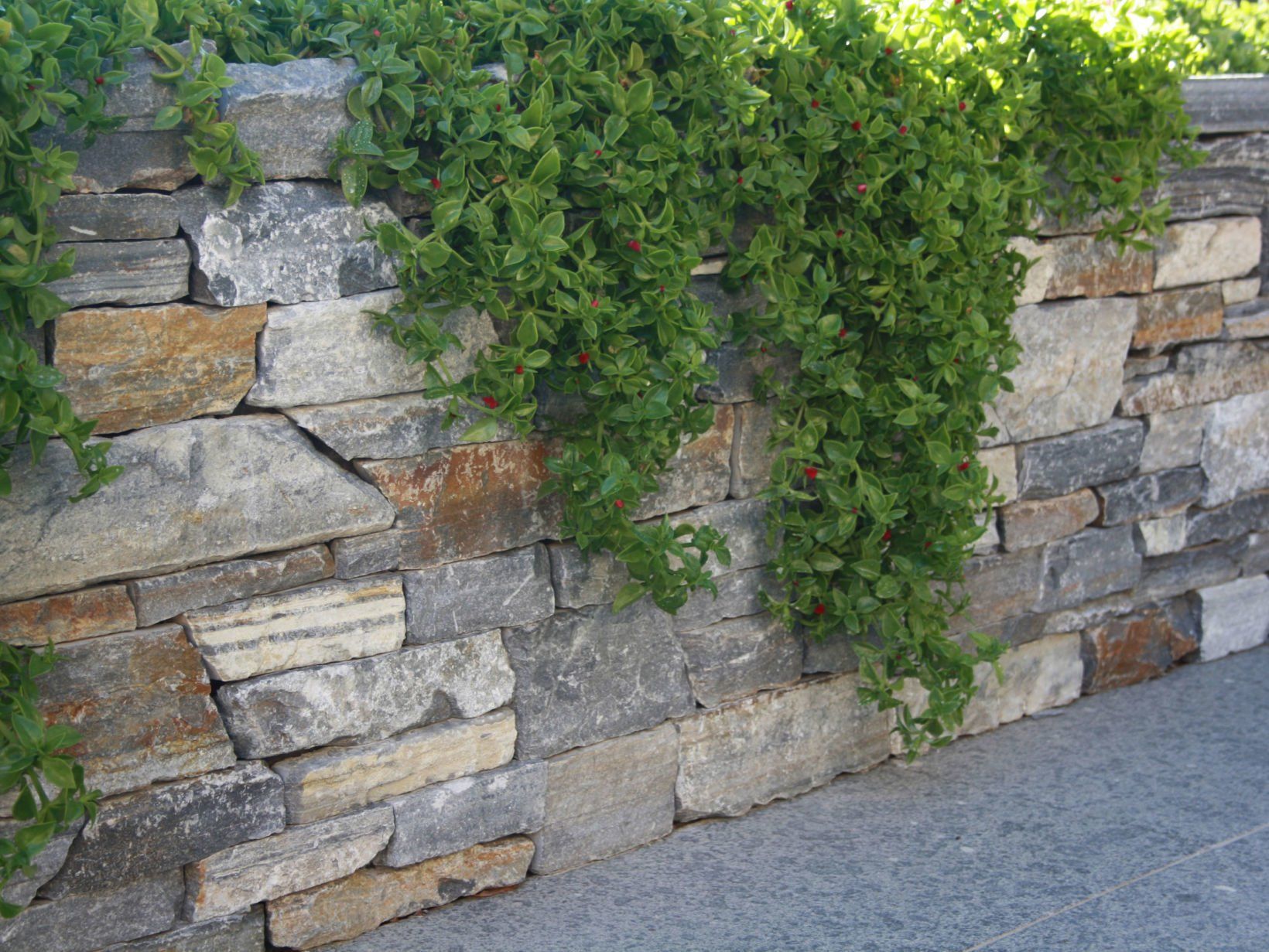 Steinmauer mit herabfließendem Grün.