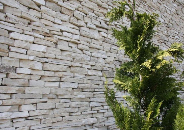 Steinmauer aus hellen, rechteckigen Steinen; davor ein grüner immergrüner Baum.