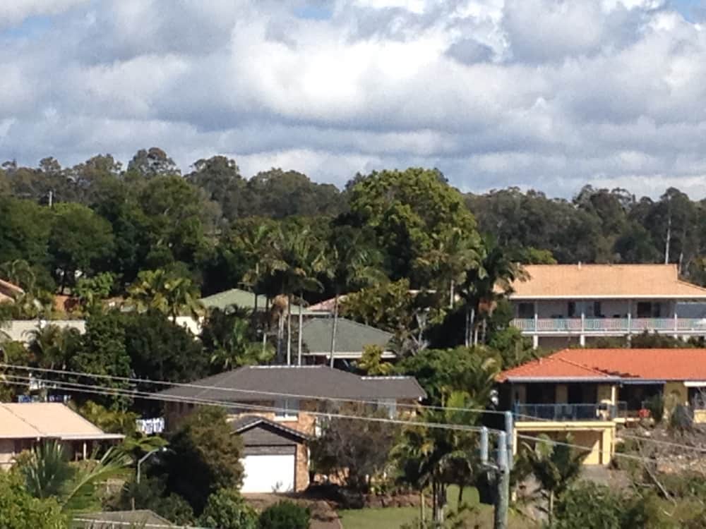 A Residential Area With Lots of Houses and Trees — Killiby & Co Roofing Pty Ltd in Tweed, NSW