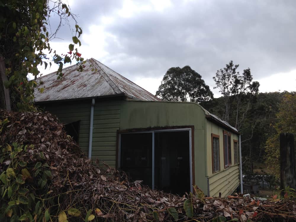 A Green House With a Roof That is Covered in Leaves — Killiby & Co Roofing Pty Ltd in Tweed, NSW