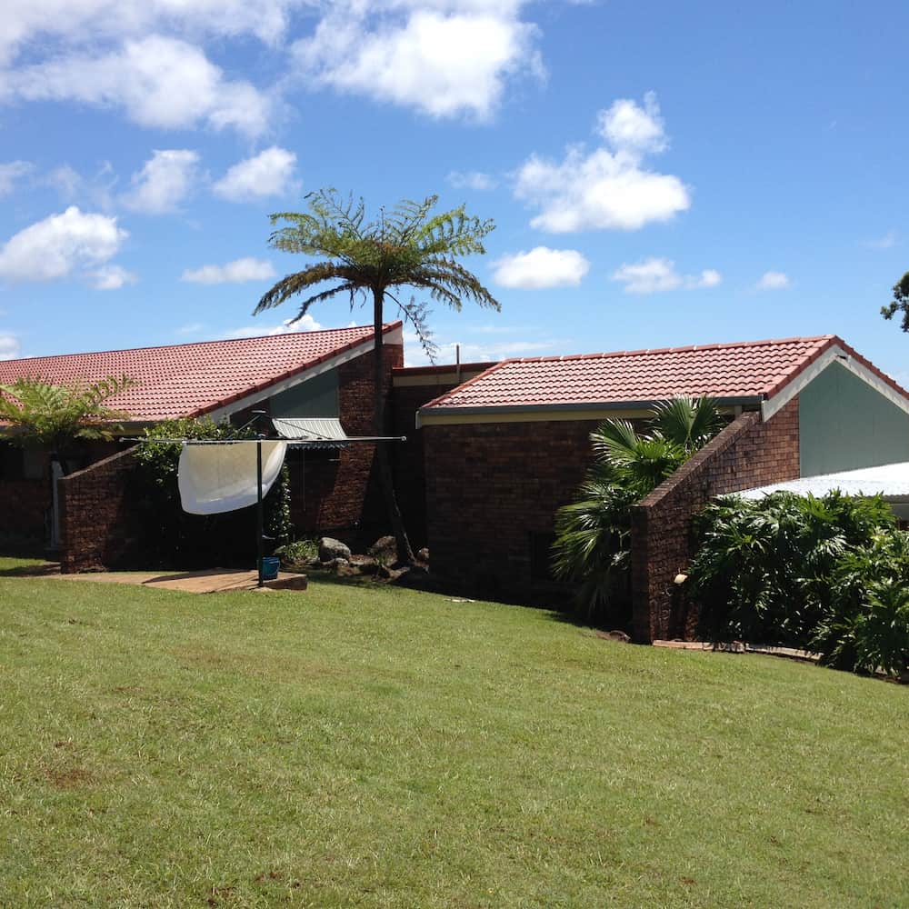 A House With a Palm Tree in Front of It — Killiby & Co Roofing Pty Ltd in Tweed, NSW