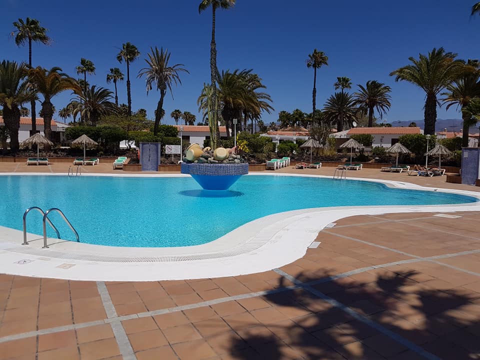 Ein großer Swimmingpool, umgeben von Palmen an einem sonnigen Tag