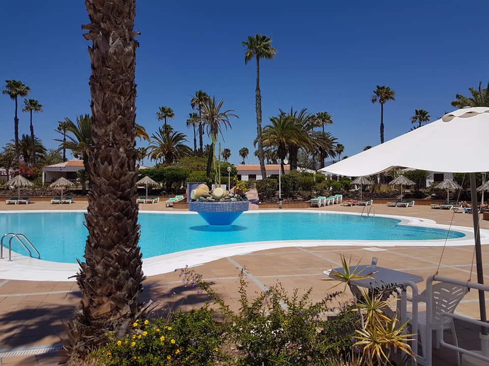 Ein großer Swimmingpool, umgeben von Palmen und Sonnenschirmen