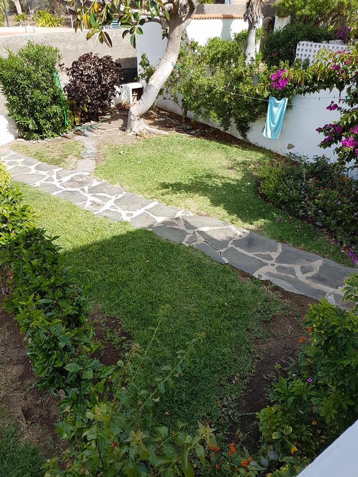 Ein Steinweg, der zu einem üppigen grünen Rasen in einem Hinterhof führt.