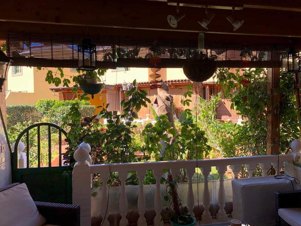 Blick auf einen Garten von einem Balkon mit weißem Geländer