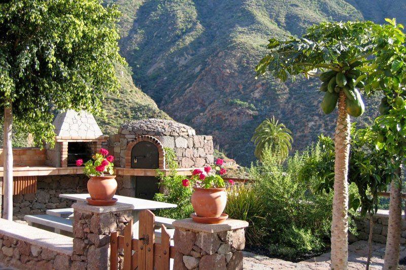 Ein Garten mit Topfpflanzen und Bergen im Hintergrund