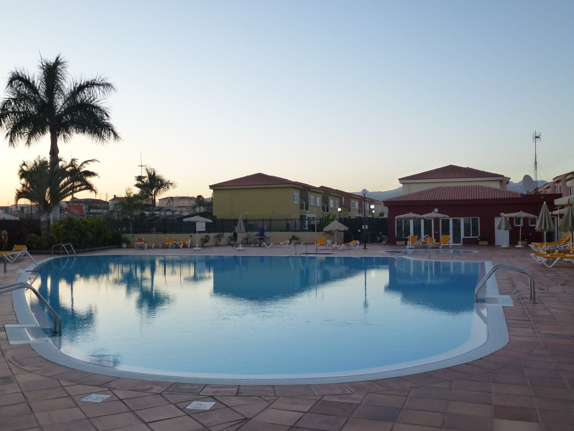 Ein großer Swimmingpool mit einer Palme im Hintergrund