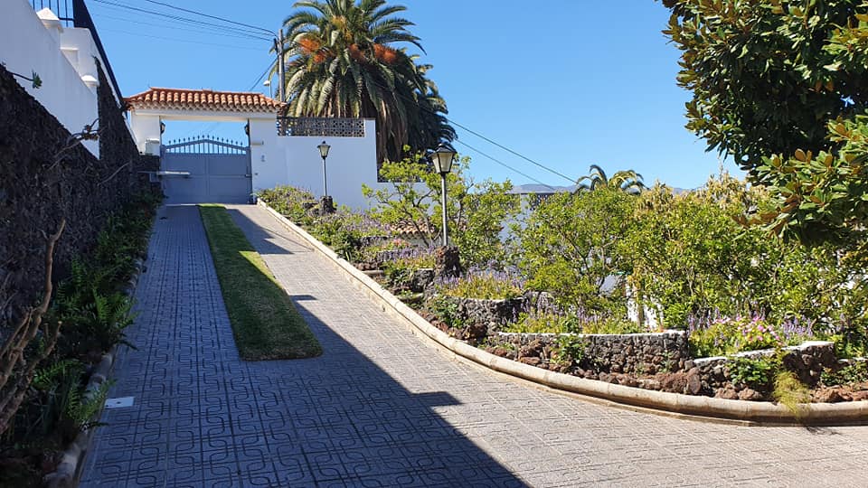 Eine Auffahrt, die zu einem Haus mit einer Palme im Hintergrund führt