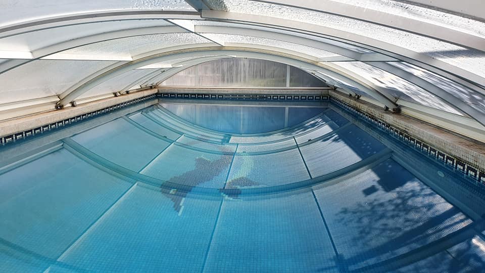 Ein Swimmingpool mit durchsichtigem Dach und der Spiegelung eines Delphins im Wasser.