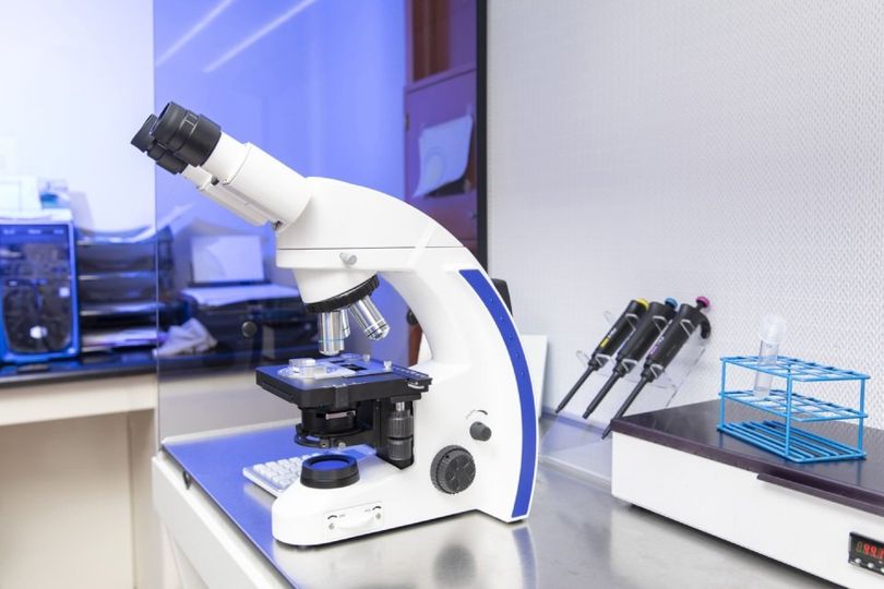 Microscopio
