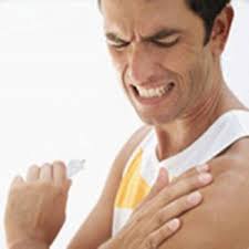 Shoulder Pain Shoulder Pain