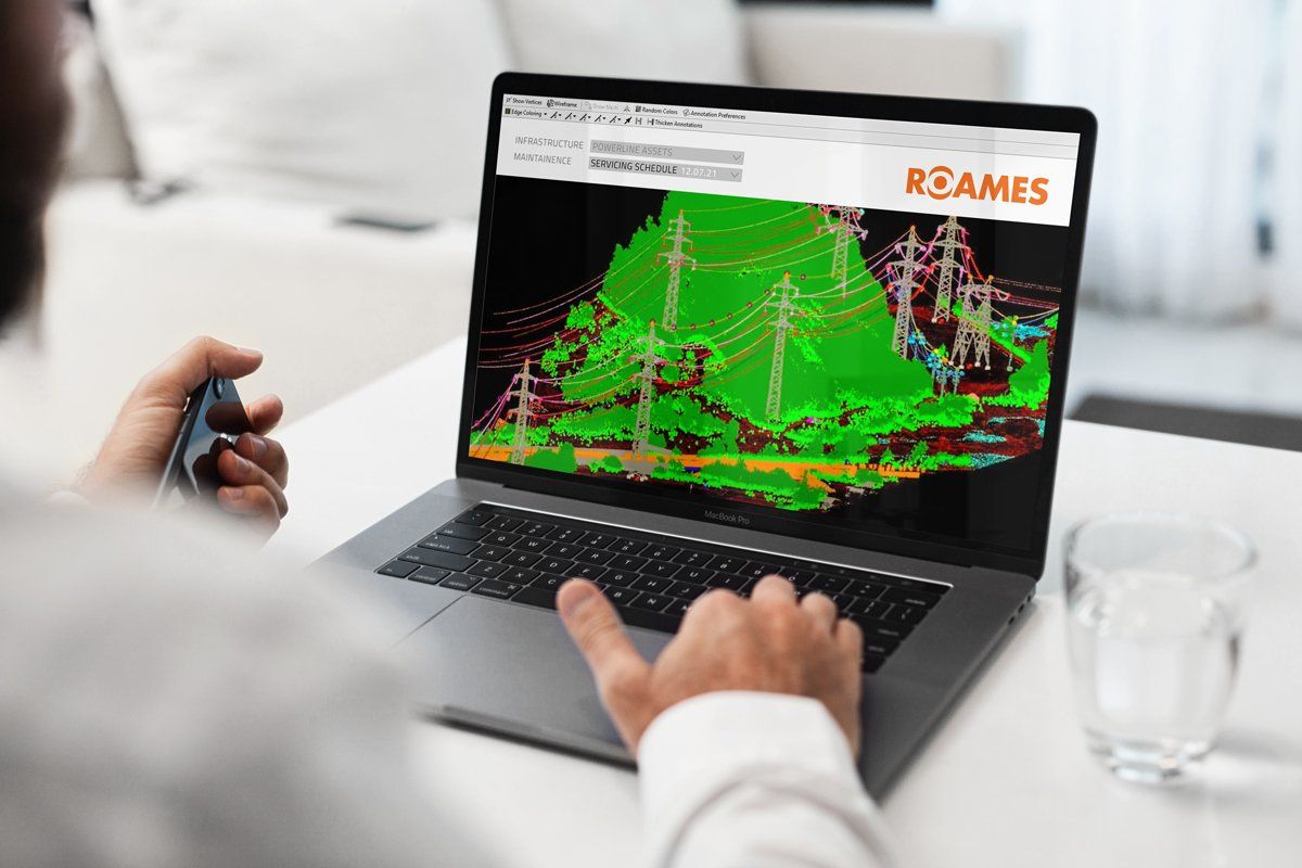 A man is sitting at a table using a laptop computer looking at ROAMES website
