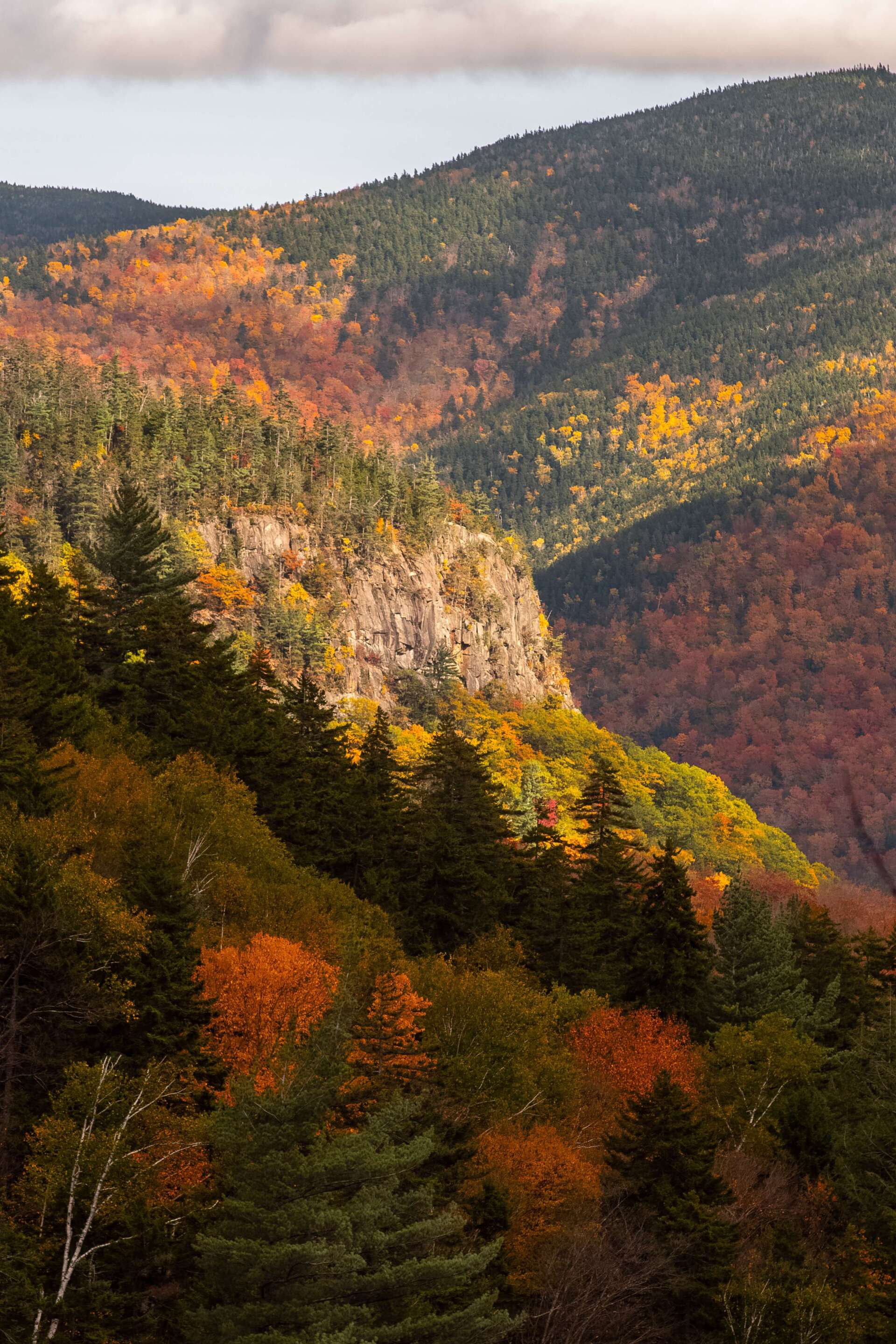 Planning cremation in New Hampshire