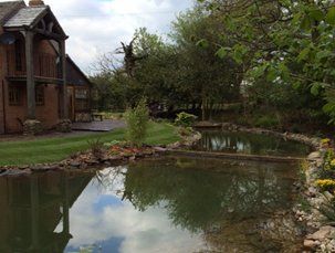 Bubbling ponds