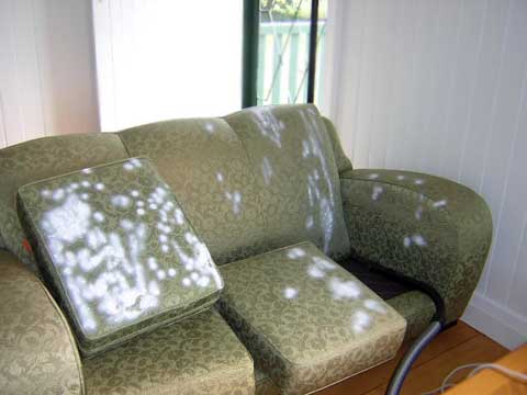 Stain removing treatment in progress