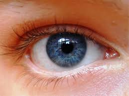 Close-up de um olho azul com pálpebra de tom de pele claro e cílios visíveis.