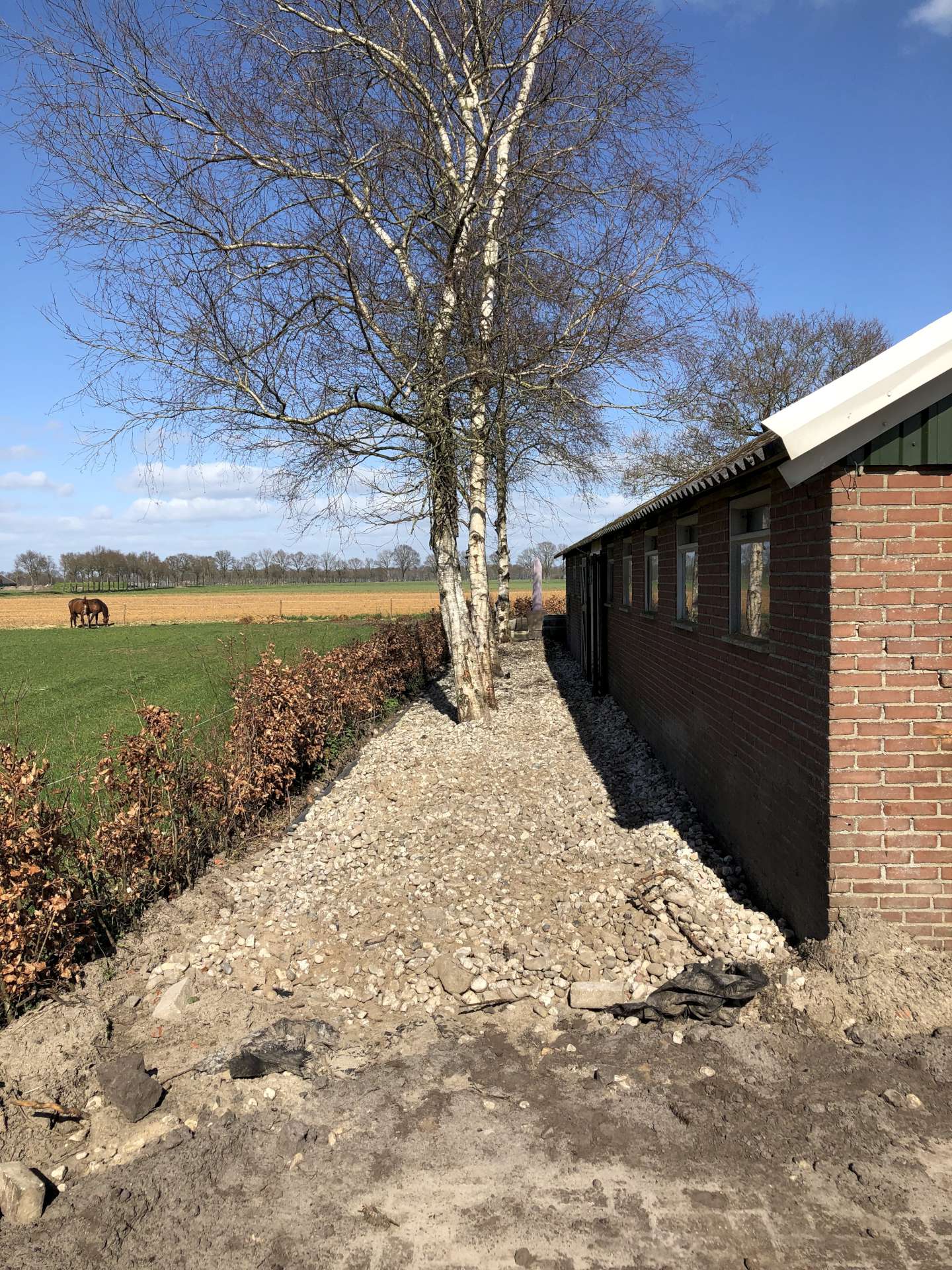 Tuin aanleggen