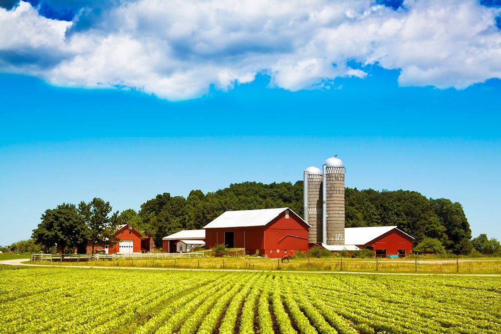 farm near field
