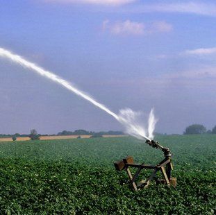 sprinklers