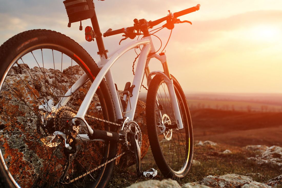 bici nuove in vendita