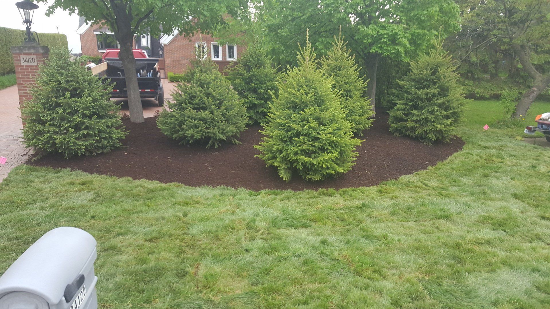 A garden bed with mulch and several evergreen shrubs in front of a house, seen from a lawn near a mailbox.