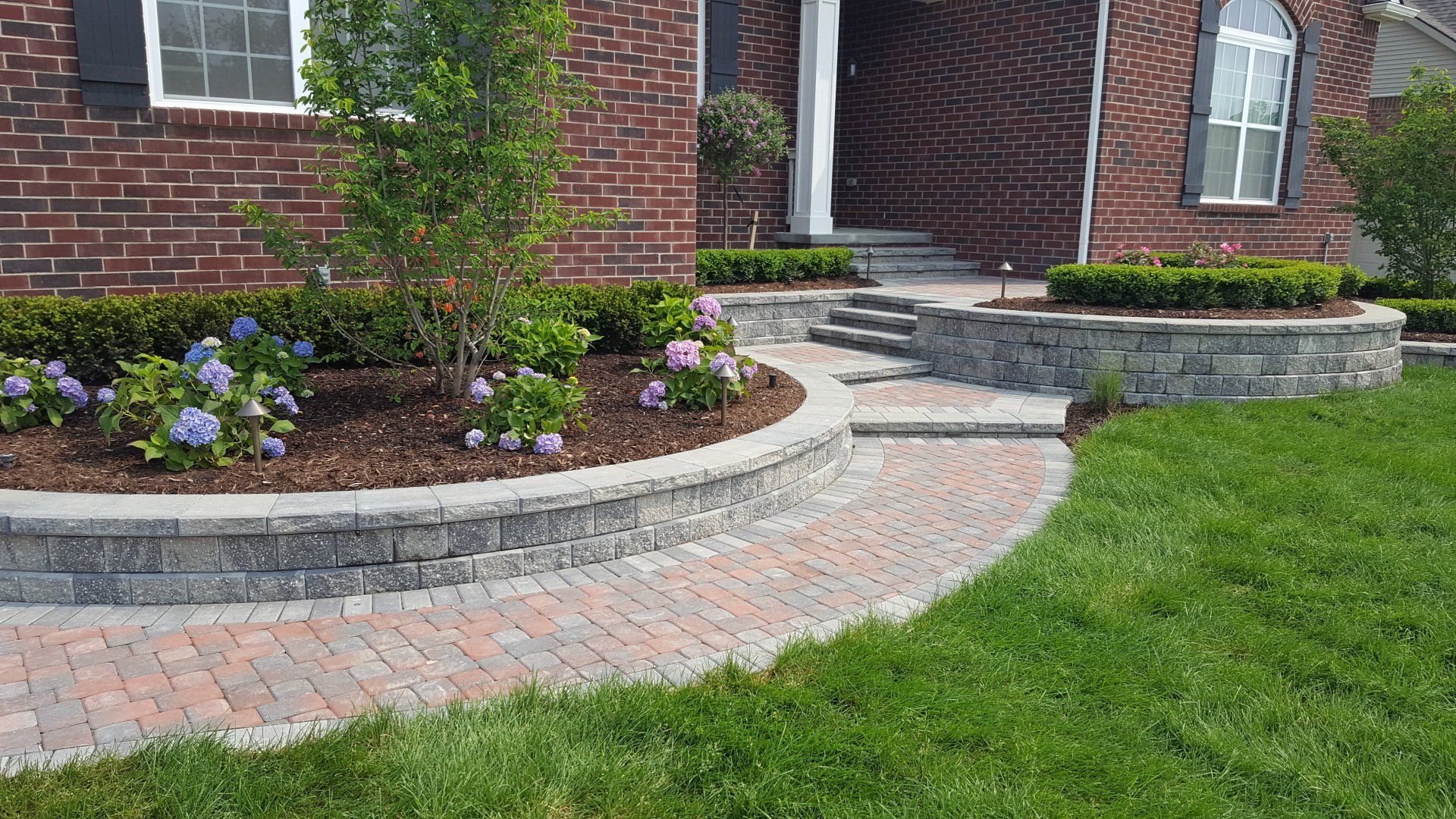 Curved brick paver walkway leading to stone steps and a landscaped garden bed with hydrangeas in front of a brick house.